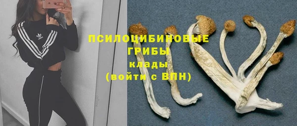 стаф Алексин