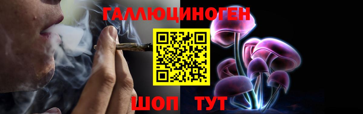 Шуя  Псилоцибиновые грибы мухоморы  Вход с VPN  Псилоцибиновые грибы Psilocybe 