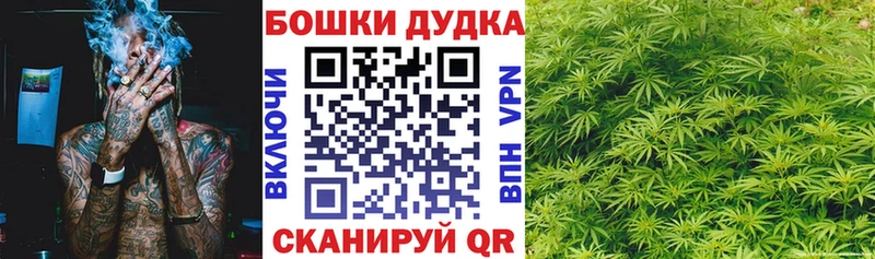 цена   Шуя  Шишки марихуана индика 